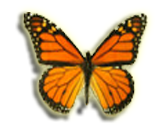 Eternal Cremations Pinellas County FL