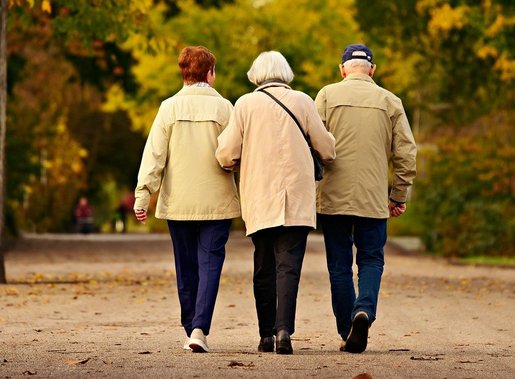 Cremation Support Tampa Florida